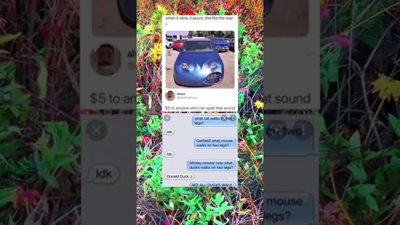 kuai603 Video's when it rains, it pours, she like the way