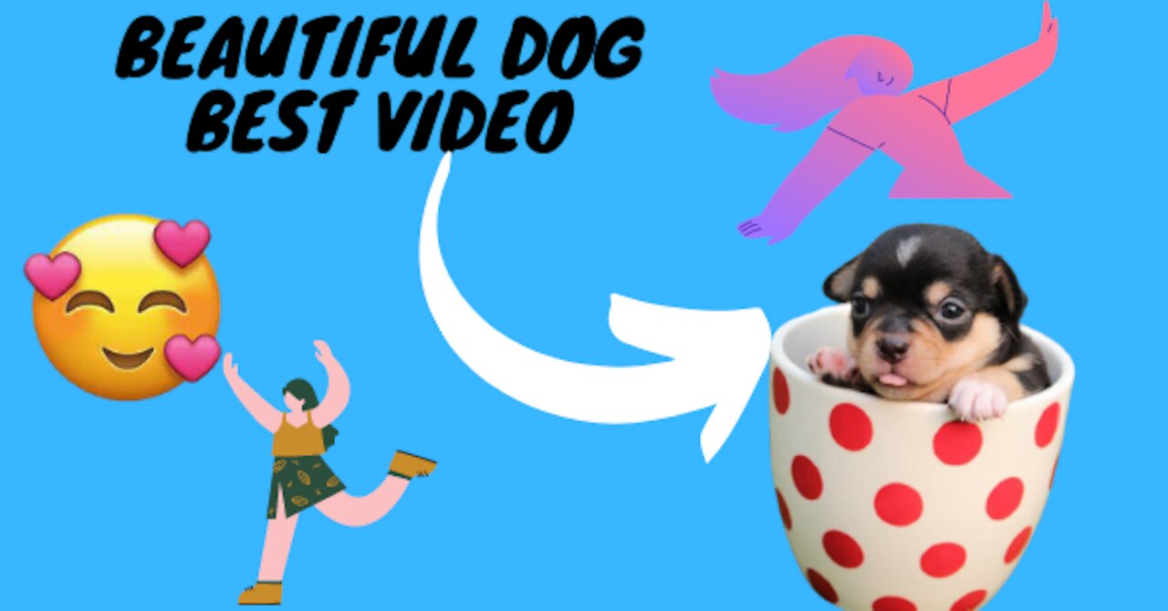 FUNNY ANIMALS FAIL! - Try not to laugh CHALLENGE!