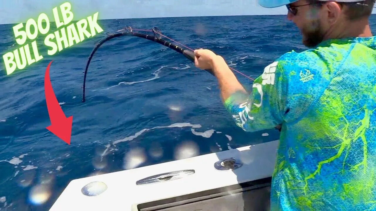 500 POUND BULL SHARK SMASHES MY BAIT!!!