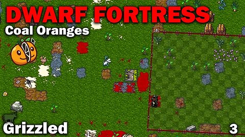 Grizzled - Coal Oranges: Dwarf Fortress Premium [S2 EP3]