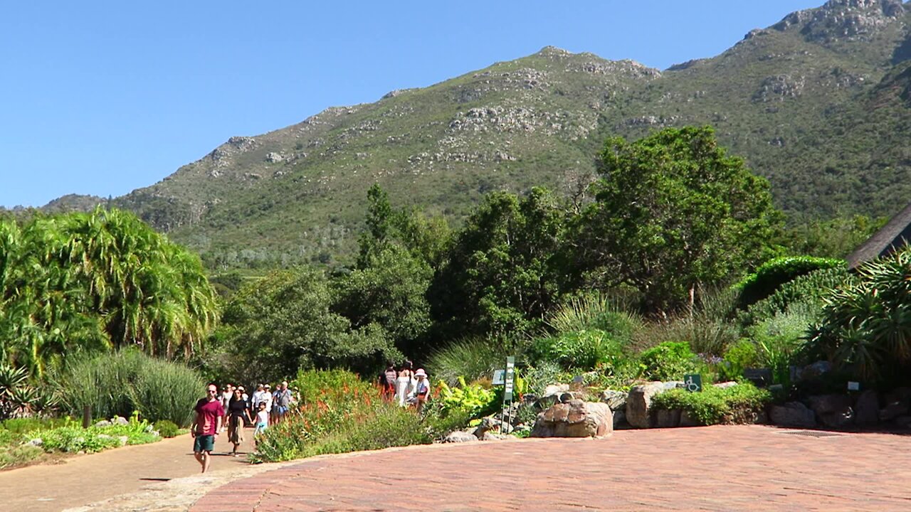 SOUTH AFRICA - Cape Town - Kirstenbosch National Botanical Garden (Video) (U2v)