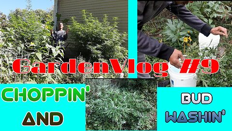 GardenVlog #9