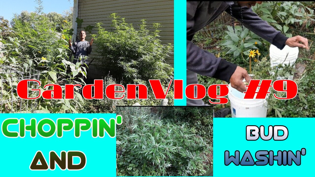 GardenVlog #9