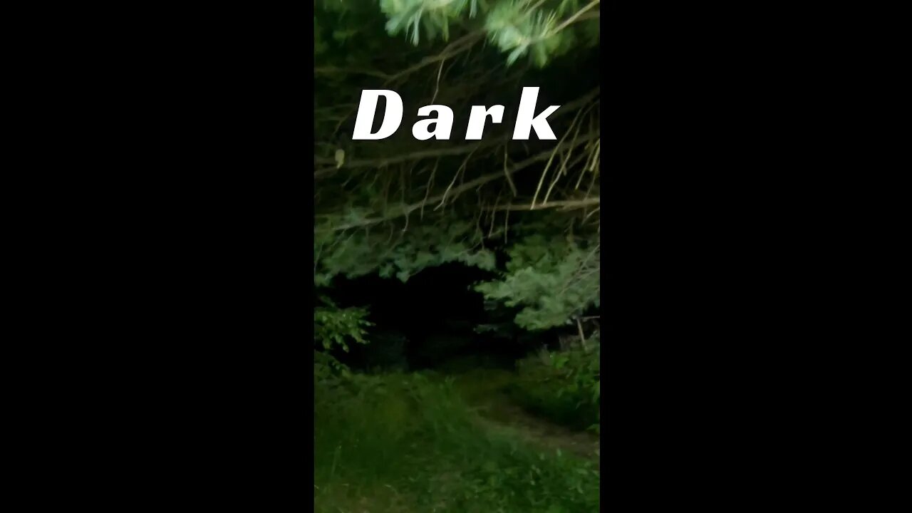 Into the Dark - Having fun @Get Out Jeep Cherokee XJ Adventures #shorts