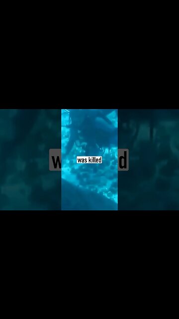 THIS Killed Steve Irwin and I Pet One ☠️