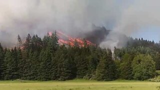 Un incendie soudain se déclare dans l'Oregon