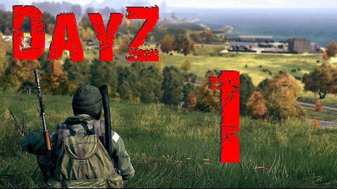 DayZ #1
