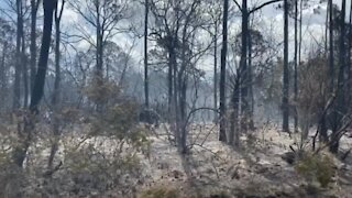 Fire crews continue putting out hot spots in Port St. Lucie