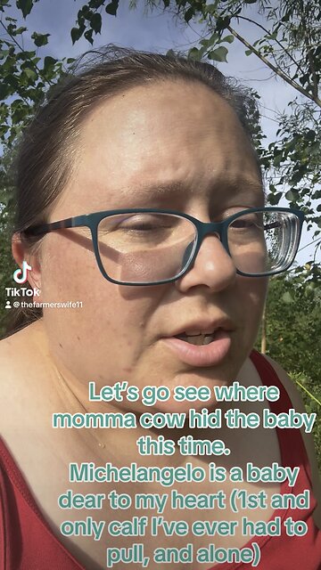 When cow hides the baby