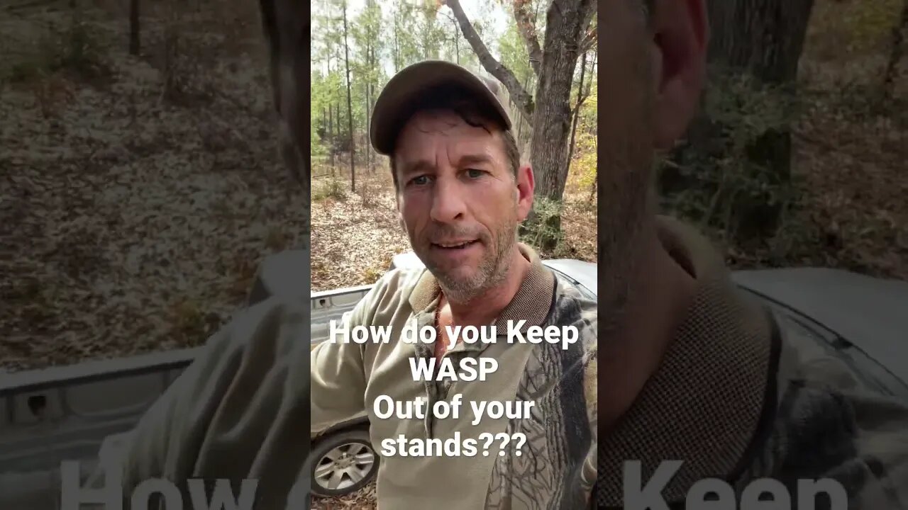 How do you deal with wasp in box stands??!!??