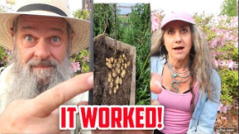 HOMESTEADING: THIS GARDEN HACK DOUBLED OUR SURVIVAL FOOD PRODUCTION! [2024-07-08] - DOUG & STACY