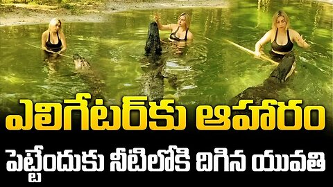ఎలిగేటర్‌కు ఆహారం పెట్టేందుకు నీటిలోకి దిగిన యువతి | Lady playing with alligator #viral | FBTV NEWS