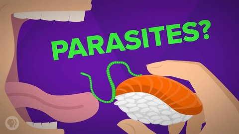 Will You Still Eat Raw Fish After Watching This Video?
