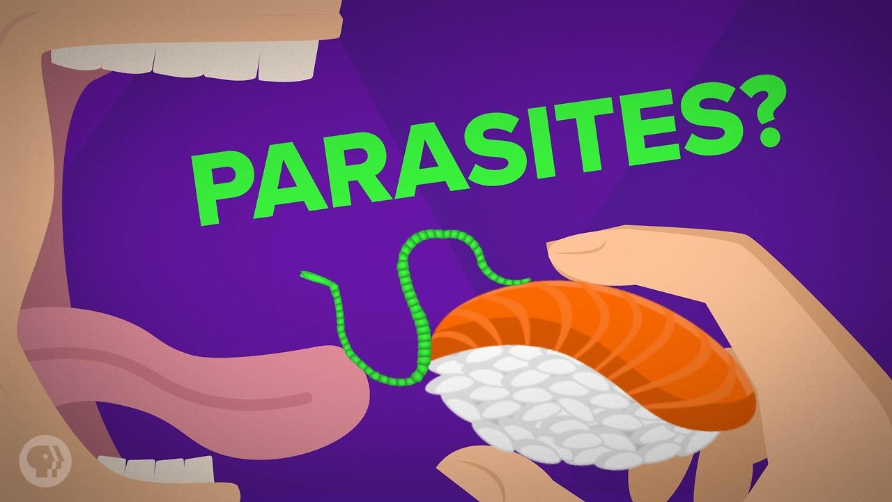 Will You Still Eat Raw Fish After Watching This Video?