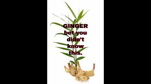 Ginger is indeed a versatile herb