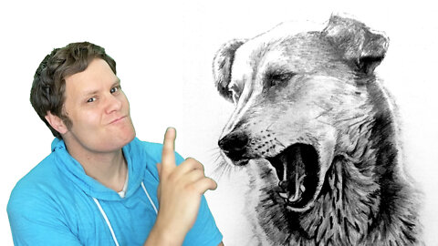 Showing off My Portraits of DOGS