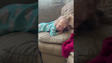 Babies and Bunnies