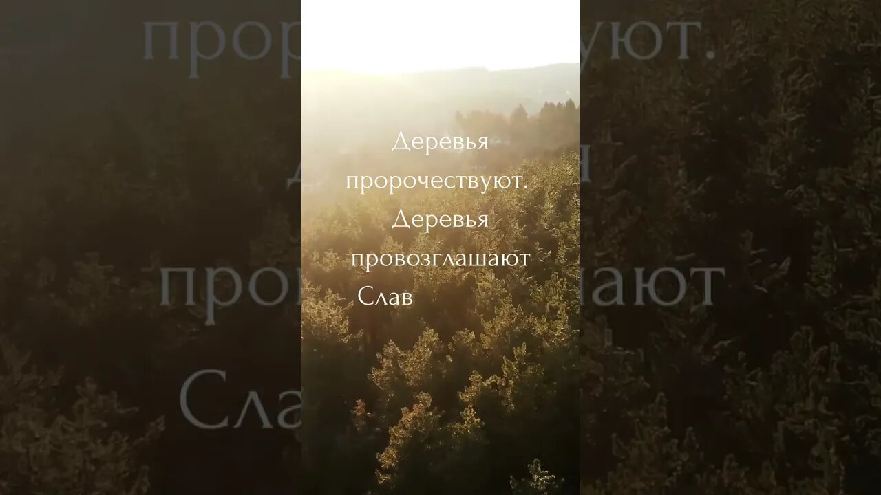 Бог говорит всегда