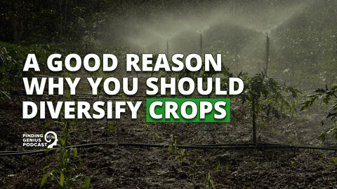 A Good Reason Why You Should Diversify Crops