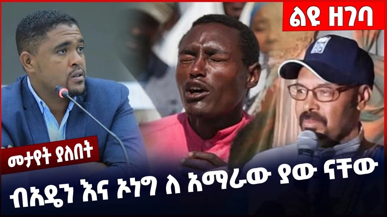 #Ethiopia ብአዴን እና ኦነግ ለ አማራው ያው ናቸው❗️❗️❗️ BEADEN |ONEG| ANDM |OLF | Amhara |Fano | Zemene Nov-28-22