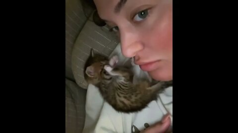 #shortscatsvideos #shorts cats videos#shortspetsvideos #shortspetsvideos #shortsanimalsvideos