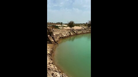 हाथी पानी में मस्ती करते हुए