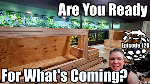 Change is coming to the 600 gallon Asian Jungle Aquarium & Big DIY Build Progress!