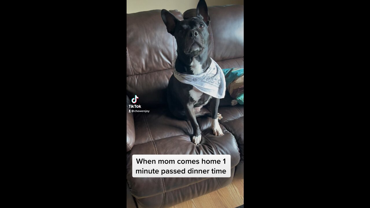 Mom is late with dinner 🙈🙈🙈