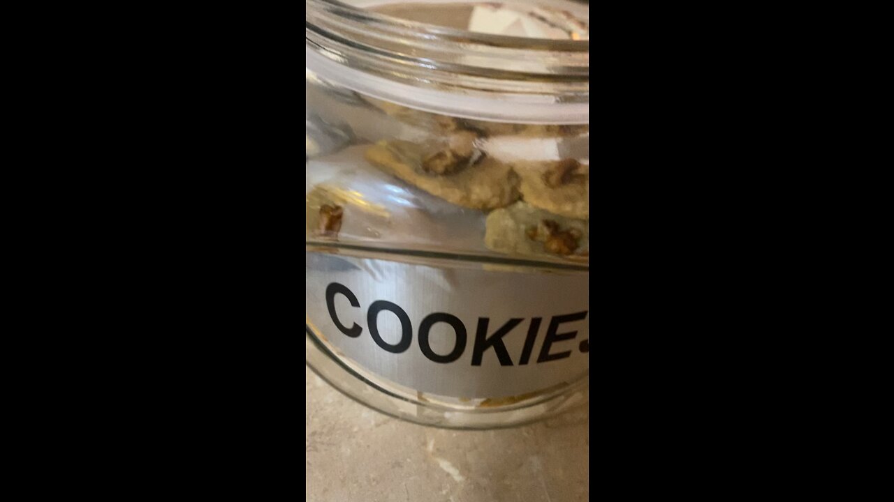 Productive Day ❤️☕️🇨🇦🐕🍪