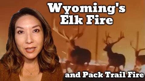 WYOMING ABLAZE! Two Massive Fires Sweep Across National Parks!