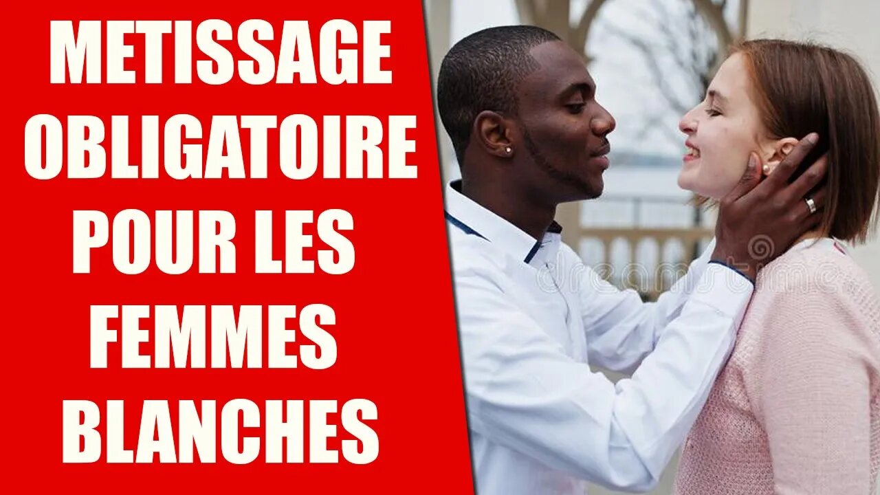 PREUVES DE L'IDEOLOGIE DU METISSAGE #tpmp #dieudo #soral #zemmour #woke