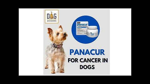Cancer Prevention - Can Dog Dewormer Help Against Cancer Cells