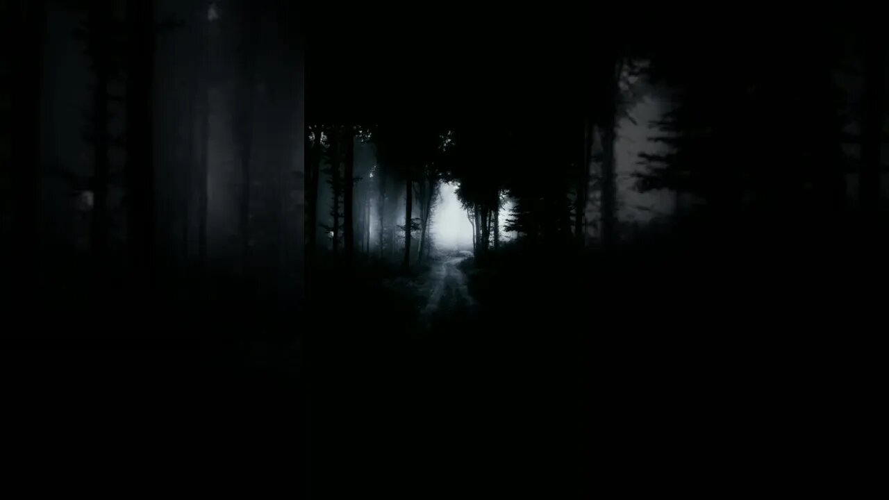 Forest of Screaming Soul's