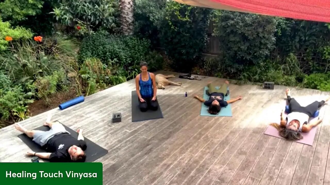 YTT Summer 2023 Healing Touch Adjustments Class (prerecorded)