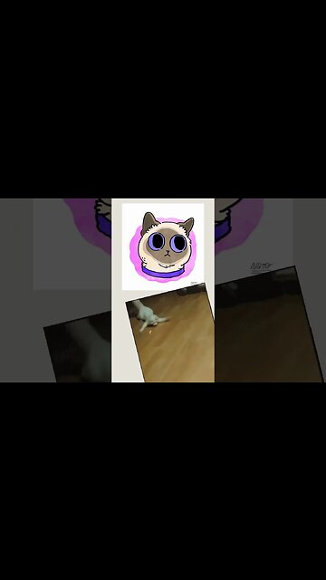 gatos engraCADOS #shorts