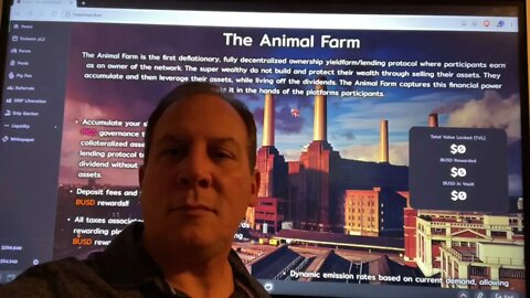 The Animal Farm, Piggy Bank , Drip Get Passive Income
