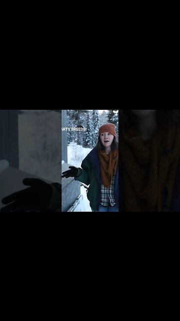 I don't use heat lamps for my chickens even in negative temperatures!