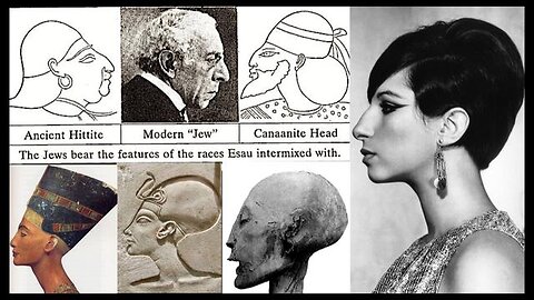 What do DNA evidences reveal about the Ashkenazi Jews? (See link in desc.)