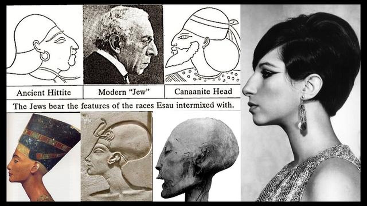 What do DNA evidences reveal about the Ashkenazi Jews? (See link in desc.)