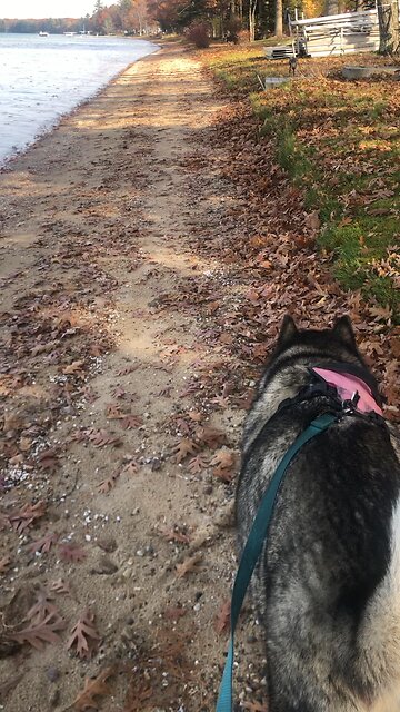 Tuesday Oct 29, Glory and power belong to the one sitting on the throne.