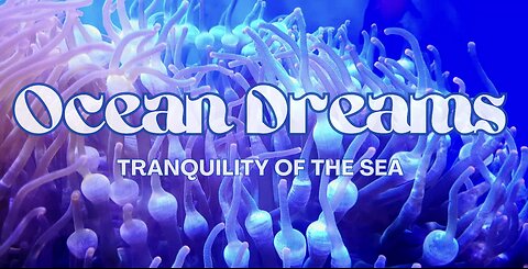 Aqua Life