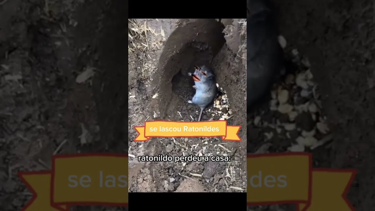 Ratonildes perdeu a casa