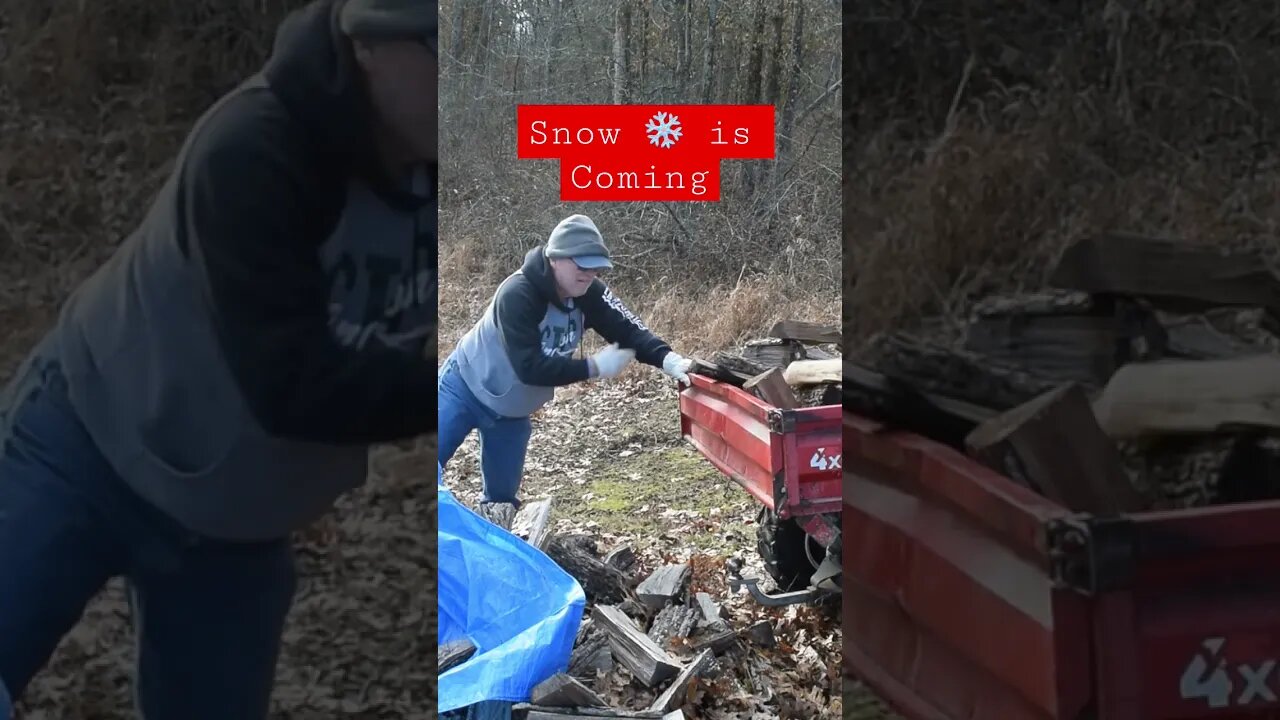 Snow is On the Way. Firewood haul #prepperboss #shorts #blizzard #firewood #snow