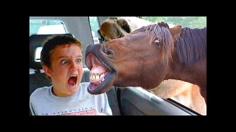 Moment that definitely not seen earlier 😂😂//Best animals funny videos 😀😂