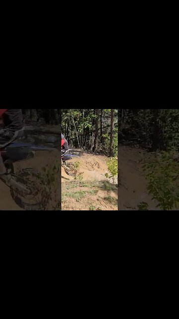 unleash the beast yz250f