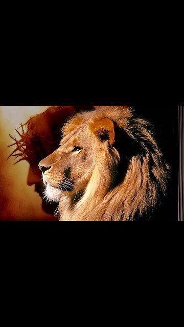 Turning Pain into Purpose