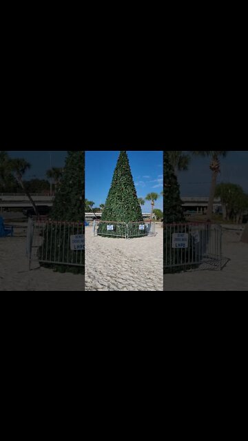 Christmas Tree On The Beach! 🎄 #shorts