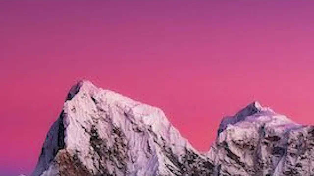 Embracing the Dawn's Golden Glow