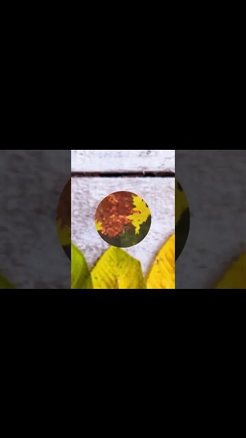 RELAXING MUSIC/DEEP SLEEP MUSIC/autumn ambience music #shorts