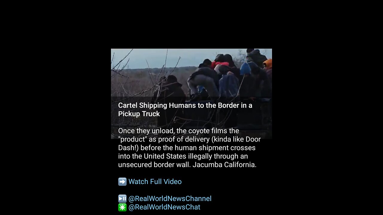 News Shorts: Border Coyote